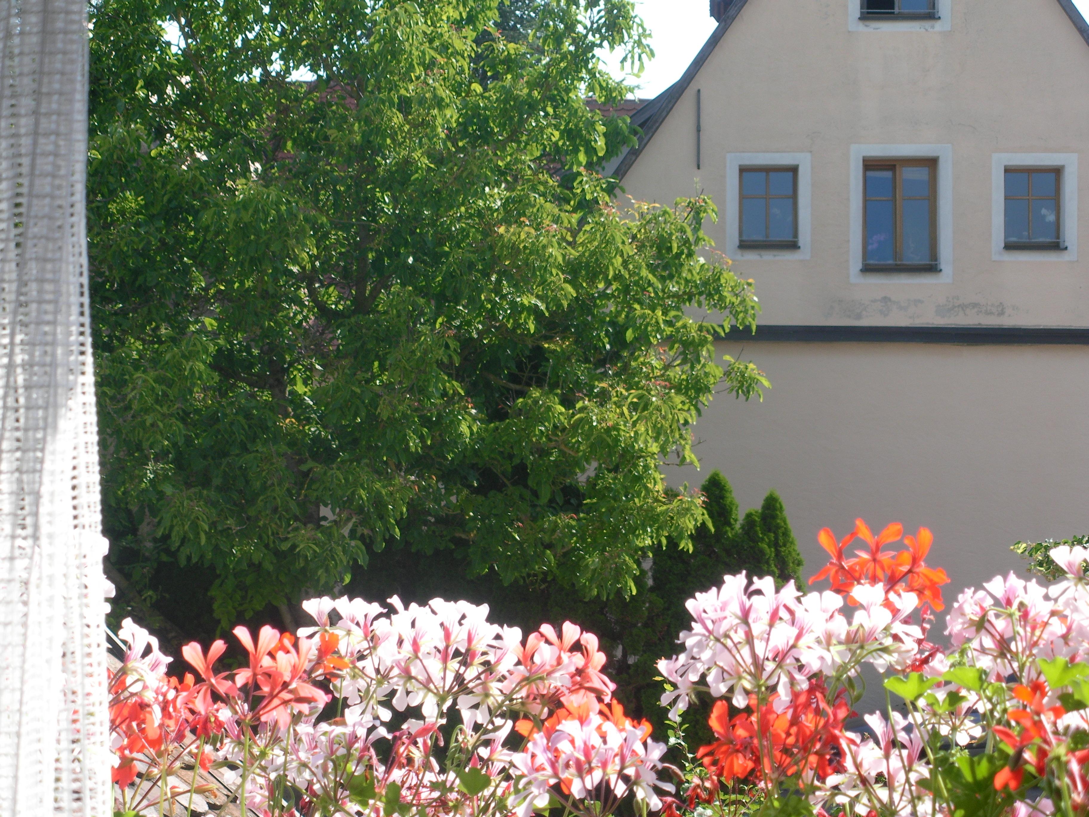 Akzent Hotel Schranne โรเทนบวร์ก อ็อบ แดร์เทาเบอร์ ภายนอก รูปภาพ